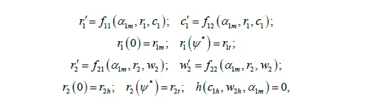 Mathematical equations with variables and parameters related to functions and conditions involving r, h, and w.