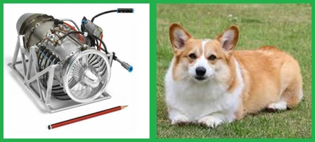 A small jet engine beside a pencil on the left, and a corgi dog lying on grass on the right.
