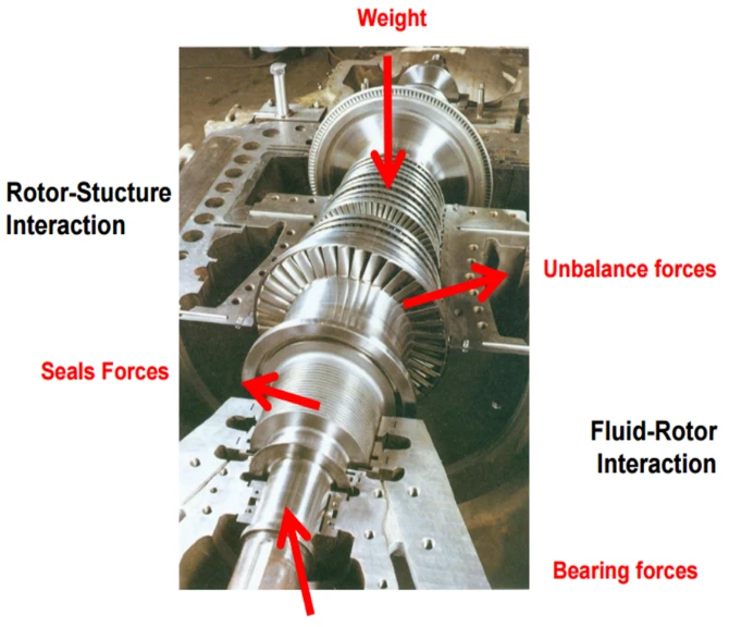 A machine rotor with annotations indicating weight, unbalance forces, seals forces, rotor-structure interaction, fluid-rotor interaction, and bearing forces.