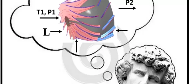 A statue ponders a thought bubble with an abstract 3D shape labeled D, T1, P1, P2, and L, featuring pink and blue lines and gray surfaces.