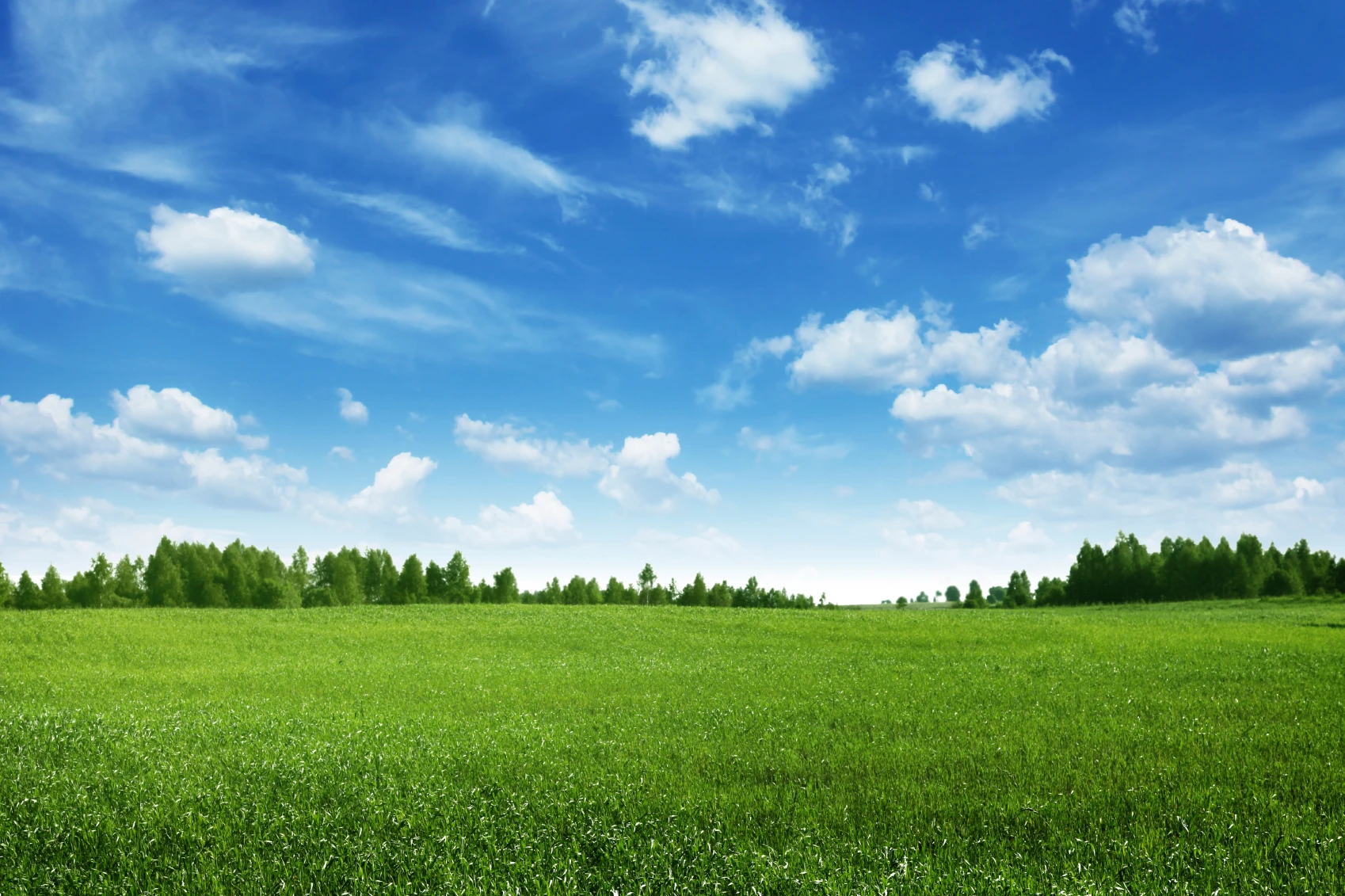Throwback Thursday Webinar – Green Energy and ORC