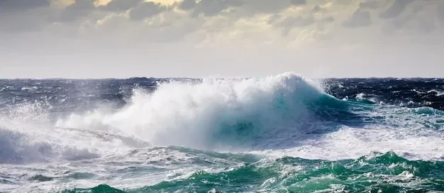 Rough ocean waves under a cloudy sky, with dark storm clouds in the background.